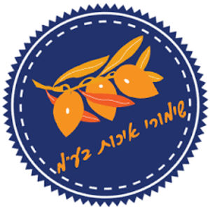 שליחות מהירה