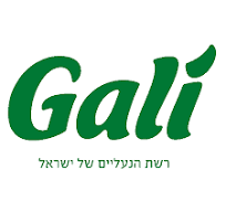 חברת משלוחים בארץ